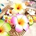 10Pcs Multicolor Hawaii Plumeria Flowers Clips Hawaiian Flower Hair Barrettes Beach Party Hair Clips Artificial Tropical Flowers Hairpins for Beauty and Personal Care Wedding 7cm，Clip and Barrettes