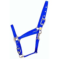 Hamilton 8DAS AVBL Licol de cheval arabe en nylon pour cheval de 800 à 500 kg avec menton et gorge réglables, bleu