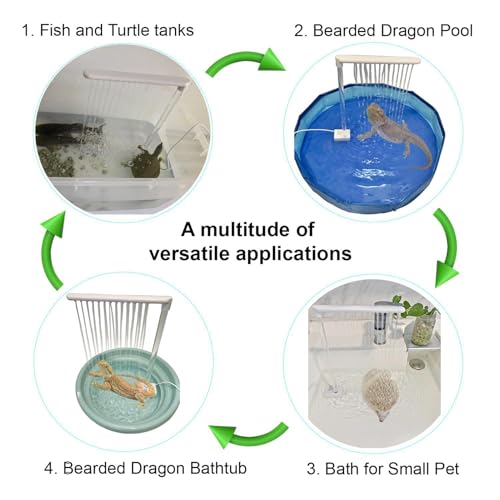 Ducha para dragón barbudo y kit de limpieza para reptiles 6