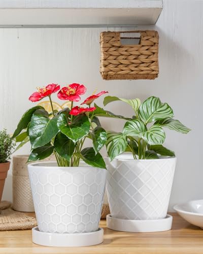 Image of EFISPSS Flower Planter -5 inch Ceramic Plant Pots with Drainage Holes and Ceramic Tray - Gardening Home Desktop Office Windowsill Decoration Gift Set of 4 - Plants NOT Included (White)