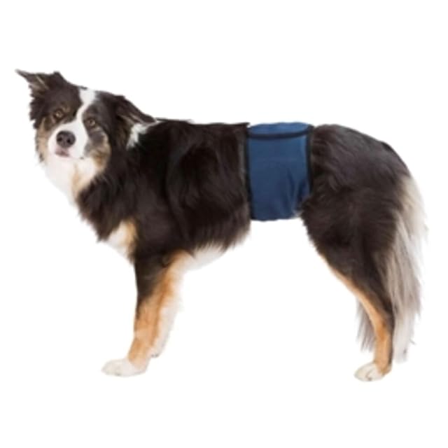 Foto 2 de 4 de Banda Abdomen Perros Macho,S–M,37–45cm,Azul Oscuro