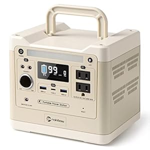 RAINBOW Portable Power Station 320W, 298Wh Backup LiFePO4 Battery, 2 x 110V/320W(Peak 640W) AC Outlets, Solar Generator for Outdoor Camping, Quick Charge for Home, Hiking