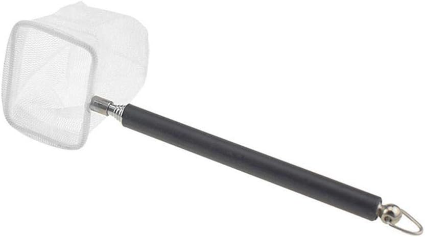 観賞魚用ネット ラバーネット 魚網 取りネット 掃除道具 金魚 熱帯魚 水槽 水族館用品 Horypt 伸縮式 水陸両用網 ランダムな色 観賞魚用ネット ラバーネット 魚網 取りネット 掃除道具 金魚 熱帯魚 水槽 水族館用品 Horypt 伸縮式 水陸両用網 ランダムな色