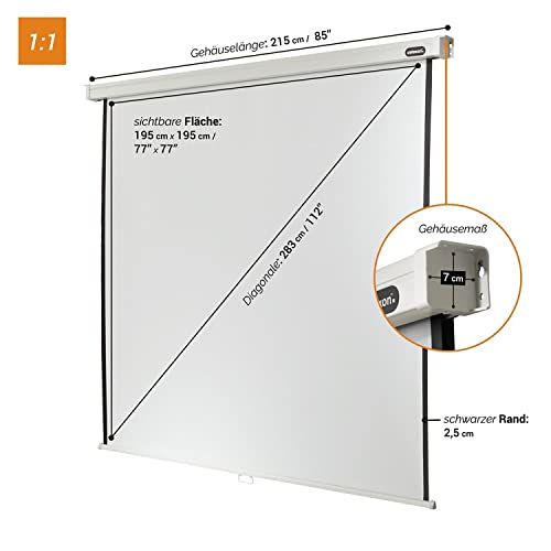 celexon Professional Rollo-Leinwand 110 | 200x200 cm 1:1 | manuell ausziehbare 4K, Full-HD Beamer-Leinwand f&uuml;r das B&uuml;ro oder Heimkino-Projektionen | Wand- & Deckenmontage/zum Aufh&auml;ngen