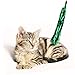 FRCOLOR 8pcs Cat Teaser Replacement Refills Bell Interactive Cat Toys for Engaging Playtime Random Color Teasing to Boredom and Strengthen