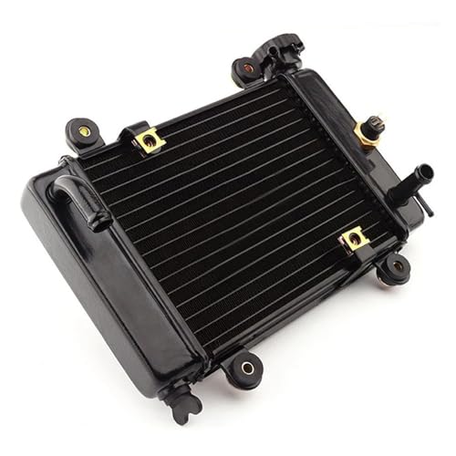 WG^[ ANZT[,N[[ I[goC gNbh 4x4 ATV UTV ANZT[ 200cc 250CC GWN[[ WG[^[ 12V pt@LbgɓK(Heat sink)