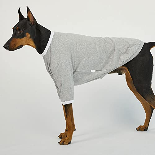 Chemise pour chien respirante en coton doux hypoallergénique taille 5XL