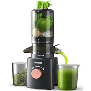 Juicer Machines, TUUMIIST Cold Press Juicer with 4.25” Large Feed Chute Fit Whole Vegetable And Fruit, Masticating Juicer Easy To Clean, Gun Grey