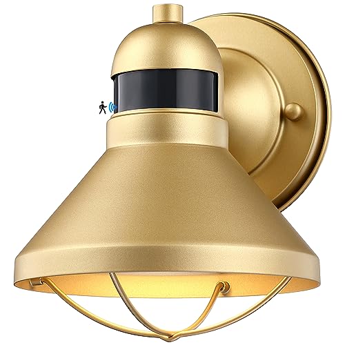 LONEDRUID Motion Sensor LED Outdoor Barn Light Fixtures Dusk to