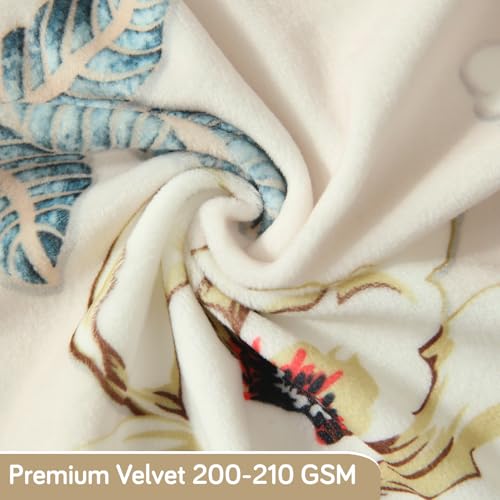 Image of HOKIPO Premium Velvet Cover Set for 4 Dining Chairs + 1 Dining Bench, Buttercream Magnolia Whisper (AR-5799-D5)