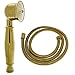 Produktbild Nostalgie Retro Handbrause Brause Brausekopf Duschkopf mit Brauseschlauch  aus Messing mit gold Oberfläche