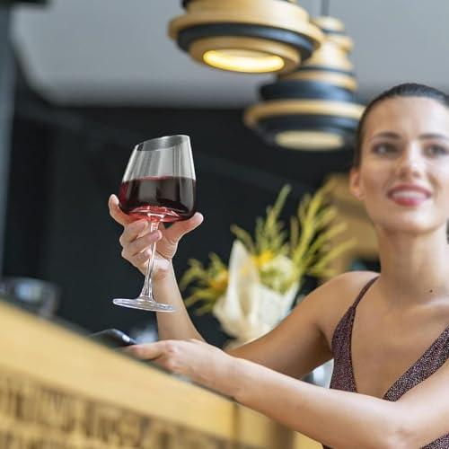 Verre à vin en cristal transparent de 25 cm pour vos repas