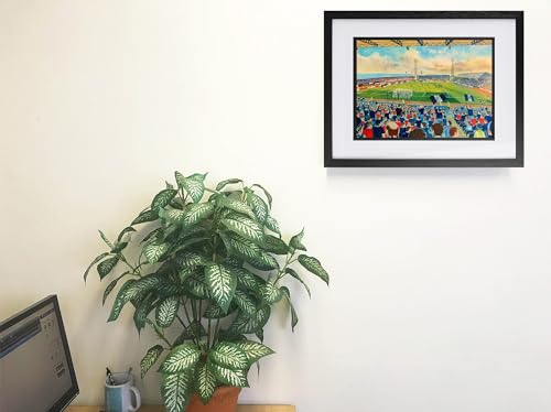 Poster Dens Park Stadium Dundee FC illustration artistique A4 sport