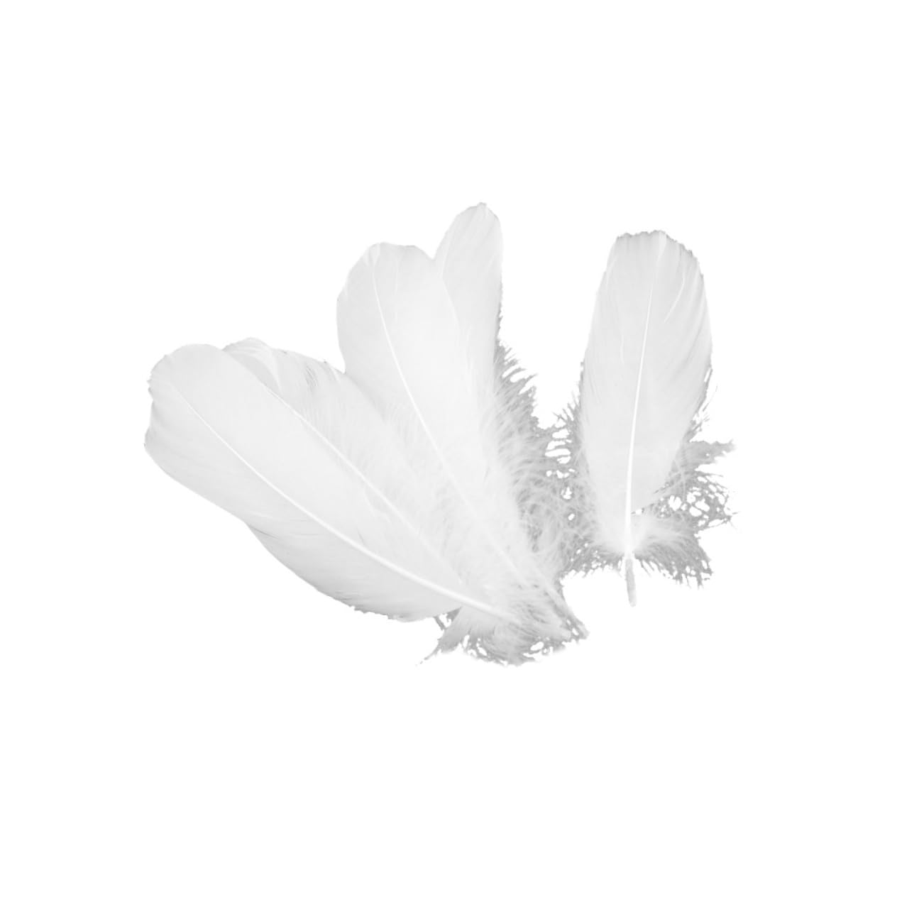 TEHAUX Lot De 3 Guirlandes Naturelles Style Pour Mariage Et Fête Artisanale 150 Pièces X 3