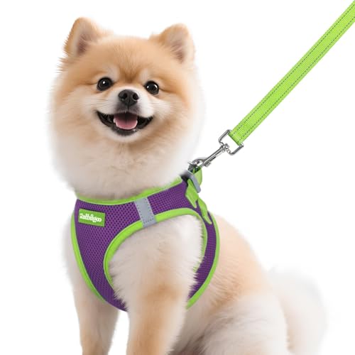 rabbitgoo Dog Harness Small Sized and Leash Set, Step-in Breathable Pet Harness, Soft Walking Reflective Puppy Vest for Small Dogs, Purple & Green, M by rabbitgoo - Used condition - US$15.46