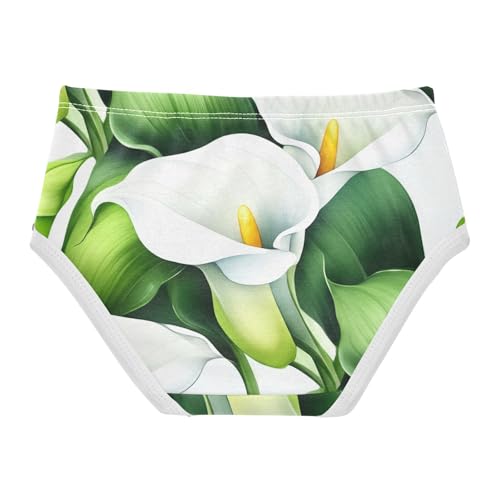 Toddler Girls Underwear 2t Cotton Girl Panties Cute Fancy Kids Undies Briefs White Calla Lilies Lush Green Leaves2
