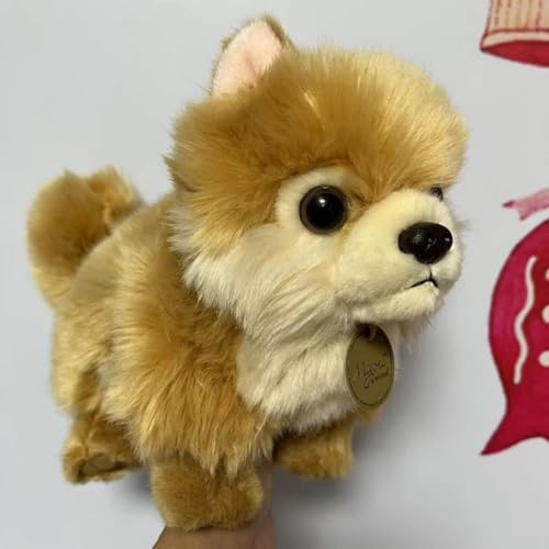 Lekolock ʂ݌̂V~[VnXL[ʂݎql`|jAr[OnEhq̑蕨 (|jA 25cm)