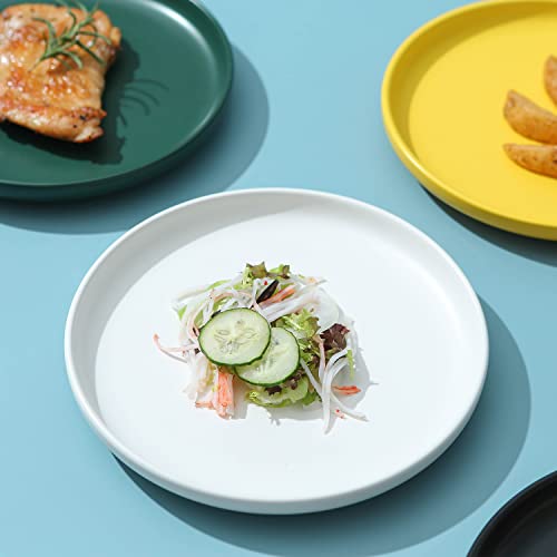 Swuut Matte Ceramic Appetizer Plates 6 Inch,Set Of 4, Dishwasher Christmas Holiday Snack Bread Butter Plates (6In, White) #TOP2