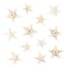 Starfish Natural Knobby Mini Beach Sea Stars for Wedding Seashell Crafts (Small, 12 Piece) by Super Z Outlet