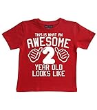  Lo que hay que tener una fantástica esta 2 años LOOKS LIKE OLD rojo palo de golf para niños 2nd con texto en inglés y T-camiseta de manga corta en tallas de la 2-3 años con un fotográfica en blanco