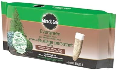 Miracle-Gro Evergreen Plant Food Spikes 12-6-12, 10-Pack | Easy Slow Release Fertilizer for Vibrant Trees & Shrubs | Feeds Spring & Fall