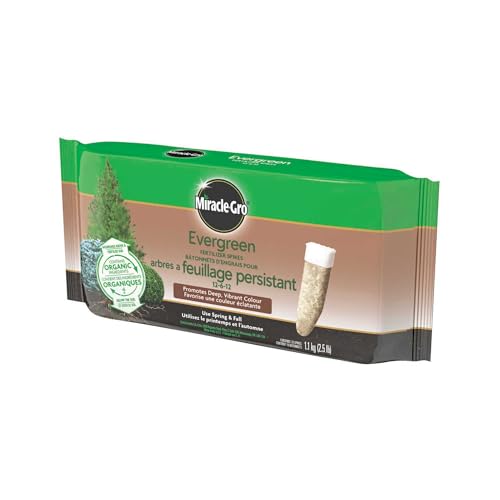 Miracle-Gro - Miracle-GRO Evergreen Plant Food Spikes 12-6-12, 10-Pack | Easy Slow Release Fertilizer for Vibrant Trees & Shrubs | Feeds Spring & Fall