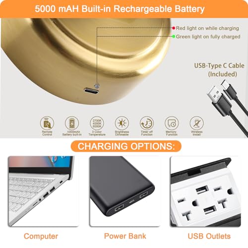 Picture Light for Wall,Battery Operated Art Lights for Painting,3 Color Selections and Brightness, Adjustable Wireless Portrait Lights with Remote for Artwork,Bookcase,Photo Frames(Brass, 15.7inch) by Tassuowell - Image 4