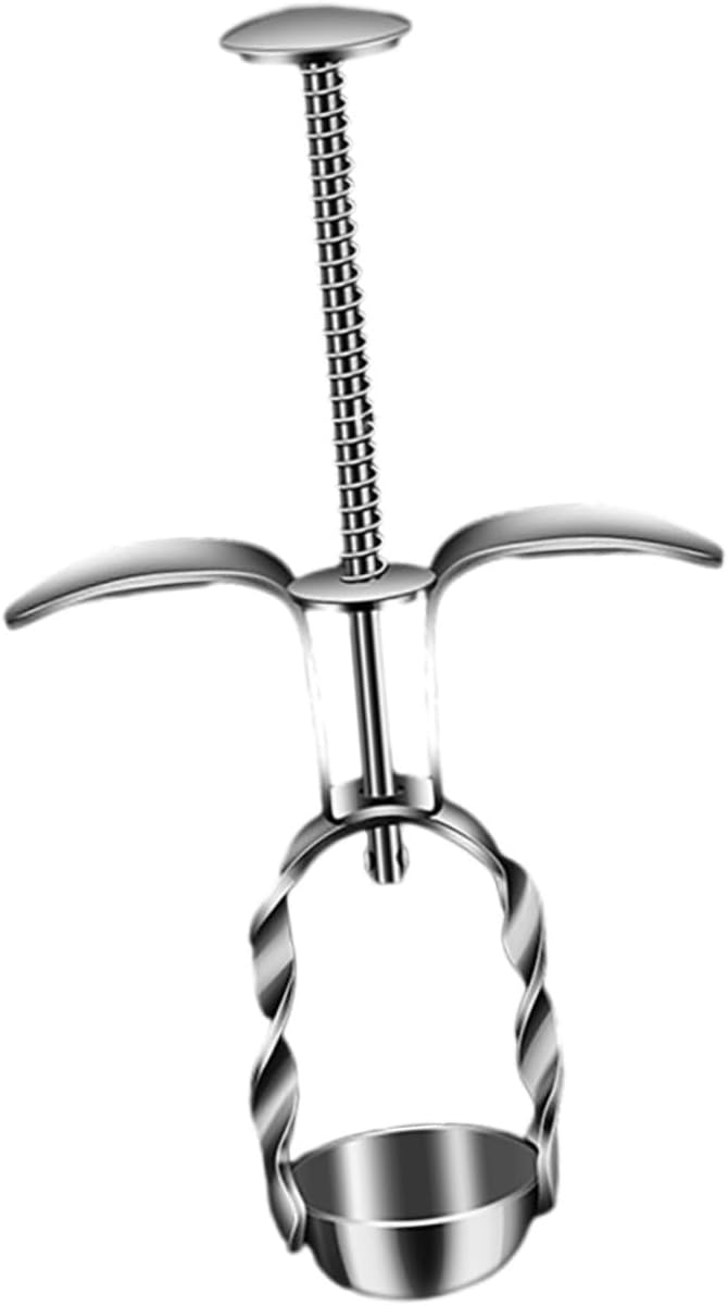 Jujube Pitter Tool Stainless Steel Cherry Pit Remover Easy Use Fruit Core Remover for Home Cooking for Jujube and Cherry Convenient Kitchen Accessory