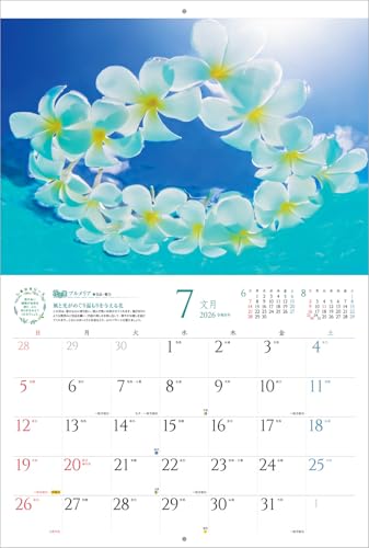 写真工房カレンダー | しあわせの花風水 2026 カレンダー 壁掛け 開運 風景 【紙ホルダー付 300×400】スマホ壁紙12枚付