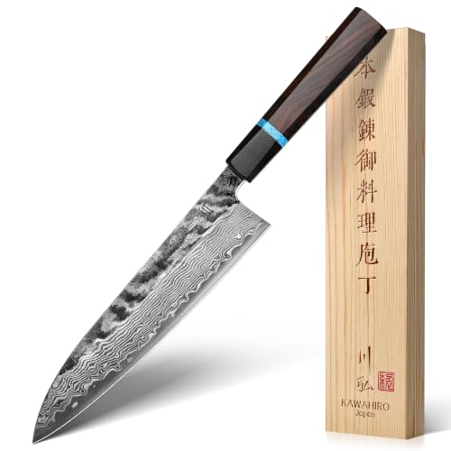 Japanese Gyuto Chef Knife 210mm, Hand Forged with VG10 Steel Core