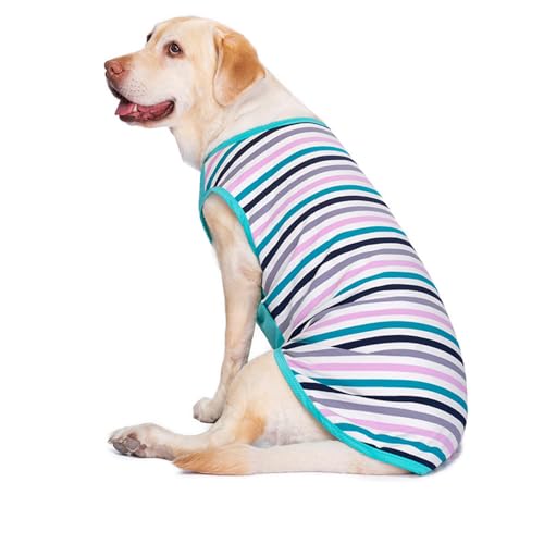 Morycat犬の服 クールベスト 夏 ひんやり冷感 tシャツ メッシュ ボーダー柄 冷却 吸水速乾 ドッグウェア 熱中症対策猫 メッシュ 超軽量犬 散歩 日焼き防ぐ お出かけ クーリングスーツ 大型犬用 フレンチブルドッグ 服チワワ (ブルー,4XL)