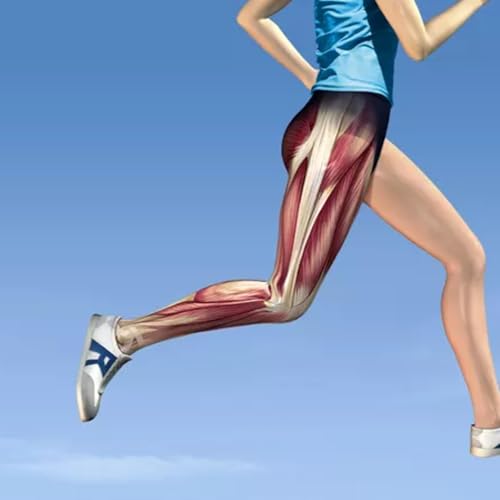 HIP WEAKNESS & KNEE PAIN