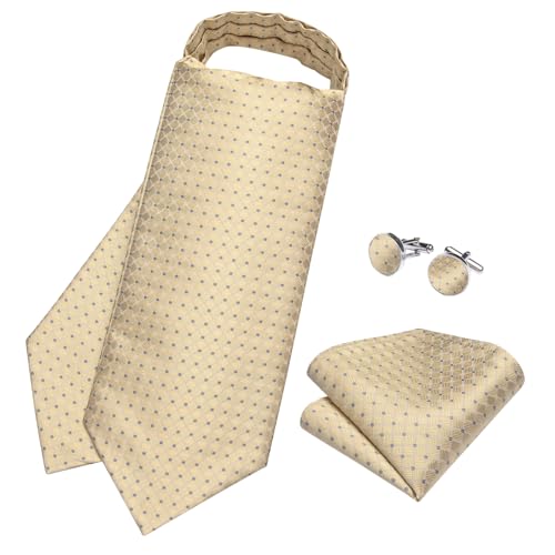 Image of DiBanGu Mens Silk Ascot Ties Paisley Jacquard Woven Cravat and Pocket Square Cufflinks with Lapel Pin for Business Wedding