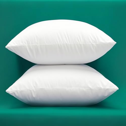 Winighting Extra Thick Pillow Inserts