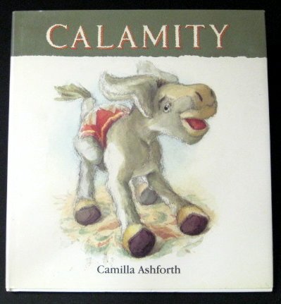 Calamity 1564022528 Book Cover