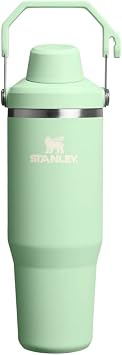 Stanley IceFlow Fast Flow Tumbler with Handle 30 oz | Twist On Angled Spout Lid | Leakproof Water Bottle | Insulated Stainless Steel | BPA-Free | Pistachio Green