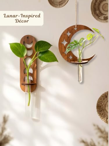 Image of Bombay Greens Wall Hanging Moon & Lunar Phase Planter with Wooden Holder & Rope | Test Tube Hanging Planter | Wooden Stand for Home Decor, Living Room, Balcony & Office Decoration