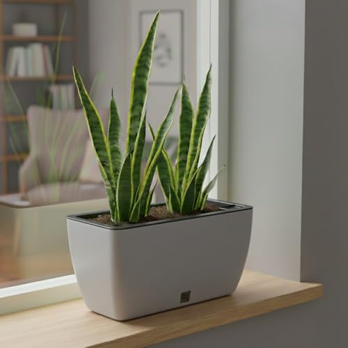 Image of GARDENCIA Self Watering Flower Pots for Outdoor Indoor Gardening /Rectangle Big Plant Pot with Polypropylene UV Material /Decorative Modern Gamla (Pack of 1, Recta Big Ston Grey)