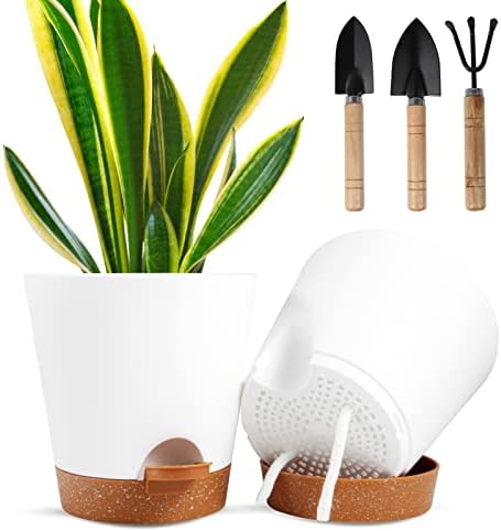 Ocakuiter Plant Pots, 5 Pack 6 Inch Self Watering Planters, Plastic Flower Pots with Drainage Hole, Succulents,Snake Plant, African Violet, and Cactus for Indoor Windowsill Garden Flower Plants
