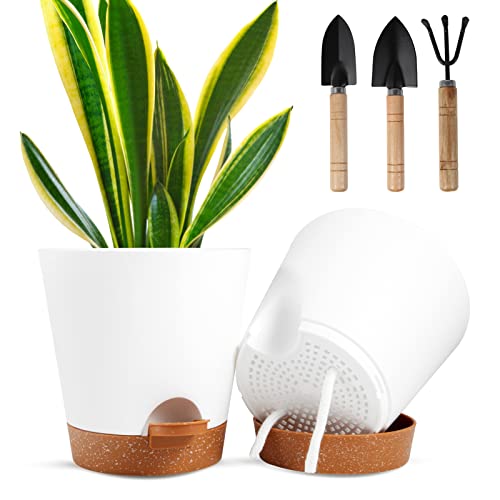 Ocakuiter Plant Pots, 5 Pack 6 Inch Self Watering Planters, Plastic Flower Pots With Drainage Hole, Succulents,Snake Plant, African Violet, And Cactus For Indoor Windowsill Garden Flower Plants #TOP2