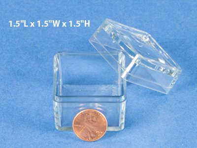Nature-Watch 1.5 Inch Bug Boxes with Magnifying Lid (Pack of 10 Boxes)