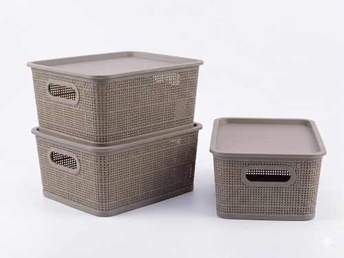 Image of SKI Vogue H1 Multipurpose Storage /Organiser Basket with Lid for Fruits, Toys, Books, Stationery, Cosmetics | Organise Kitchen, Wardrobe, counter-tops - 3 Pcs Set Linen-Beige(Small)
