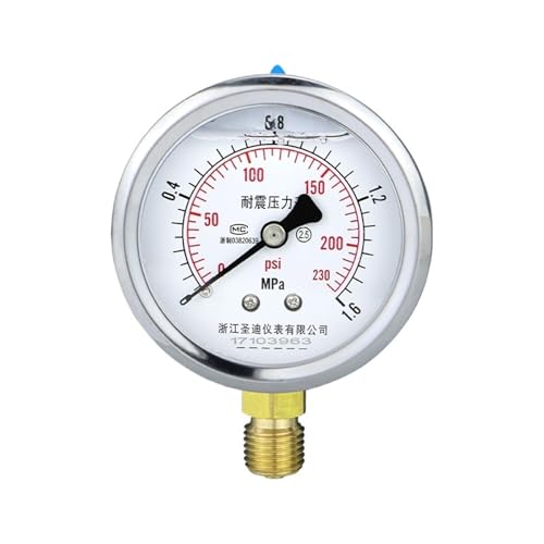 Manomètre en acier inoxydable avec raccord laiton durable pour un contrôle de précision