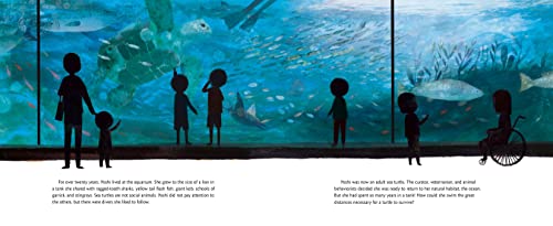 Yoshi, Sea Turtle Genius: A True Story about an Amazing Swimmer - Image 5