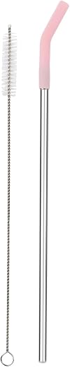 House of Quirk Reusable Straw Set (3 Pcs) | 1 Stainless Steel Straw, 1 Silicone Tip &amp; 1 Cleaning Brush | Straws for Tumble...