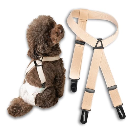 NEWYw_[ (VS x[W) Ic}i[xĝ藎h~ hbOTXy_[ Ic}i[xĝ藎h~ BG/S