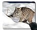 APSRA Podkładka pod mysz spersonalizowana, śnieżny las ryś kot 72158 podkładka pod mysz do gier -19037