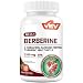 VEV Berberine Supplement with Ceylon Cinnamon, Cayenne Pepper, Turmeric, Milk Thistle – 120 Capsules
