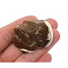 EISCO Raw Chert, Mineral Specimen - Approx. 1 - Geologist Selected & Hand Processed - Great for Science Classrooms
