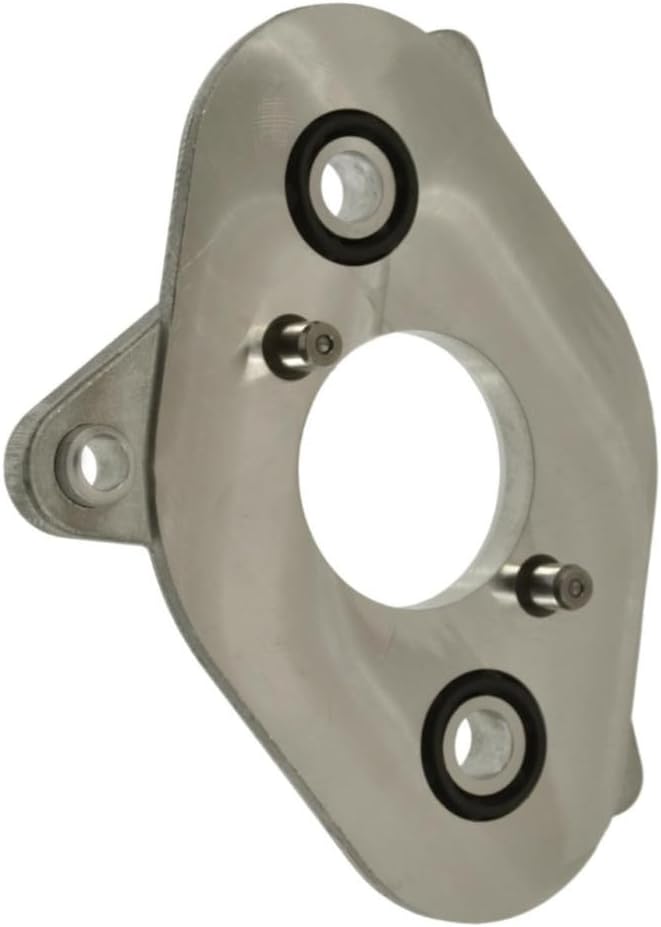 KarParts360 For Ford Transit-250/Transit-350 2015 2016 2017 Fuel Pump Mounting Plate | GDI Fuel Injection | Direct System | Replacement For BL3Z9178B, BL3Z9178A